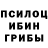 Галлюциногенные грибы Psilocybe cursedik