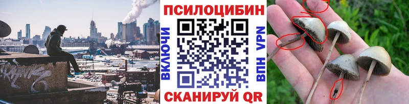 гидра вход Нижнекамск Галлюциногенные грибы GOLDEN TEACHER